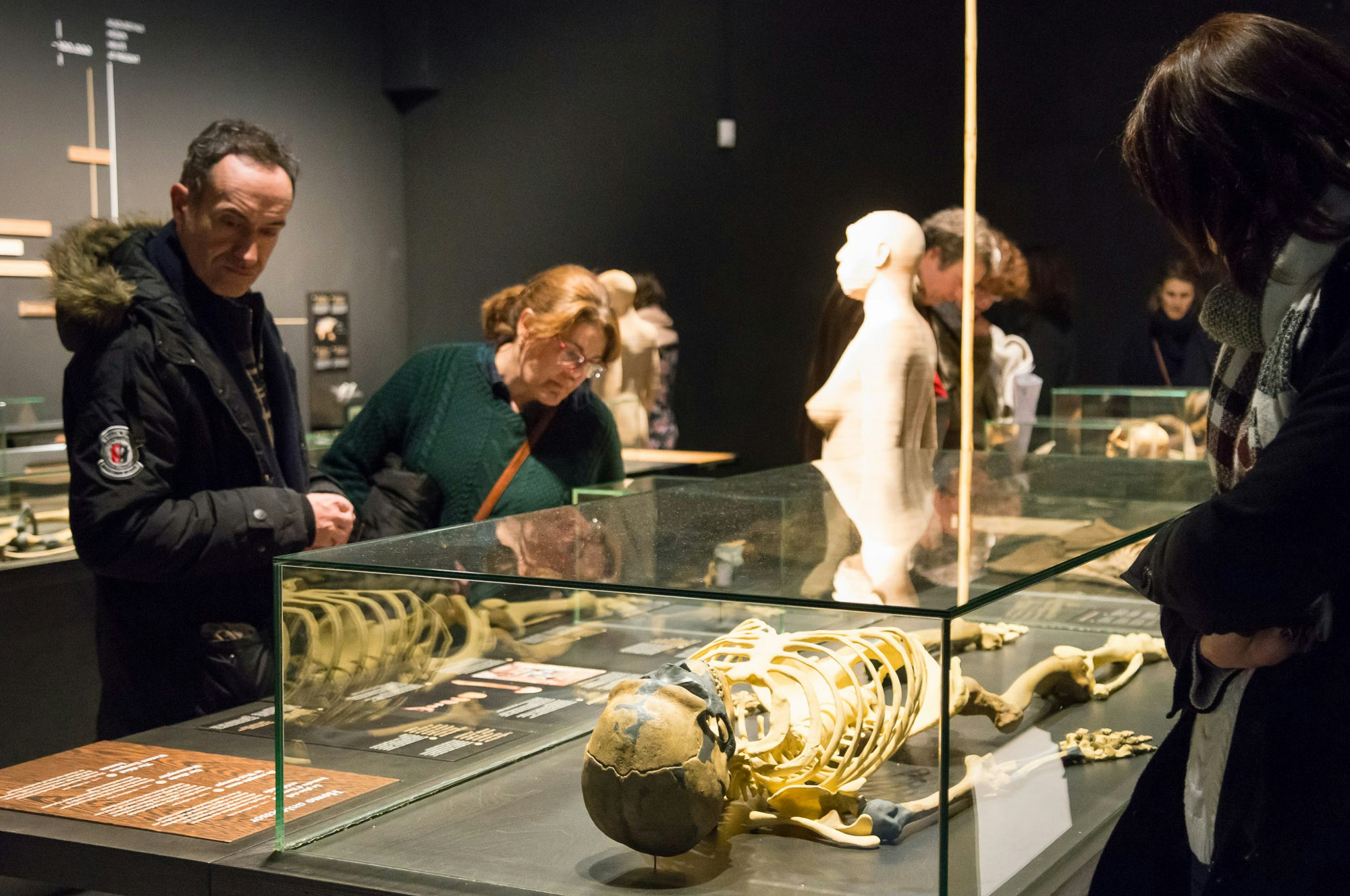 Muséum des Sciences naturelles Institut royal des Sciences naturelles